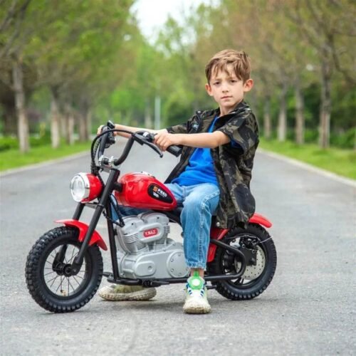 36V Freddo e-Chopper for Teens for sale