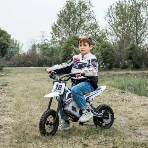36V Freddo Electric Dirt Bike for Teens for sale
