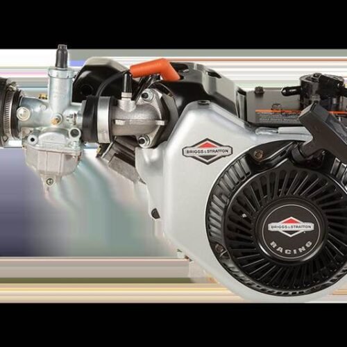 Briggs & Stratton World Formula Engine