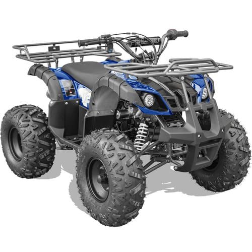 Bull Kids Gas Powered ATV, Electric Start 125cc 4-Stroke, Automatic with Reverse, Ages 12 and up - Blue