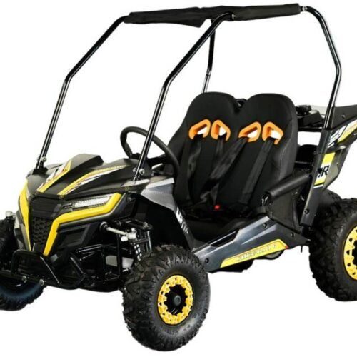 TrailMaster Cheetah-6 Go Kart, 5.5hp Electric Start, Remote Start/Kill with Reverse, Kids Ages 4-9