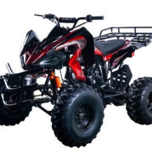 Cougar Sport 125cc ATV, 3-Speed with Reverse for sale