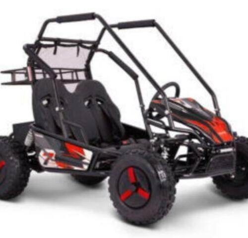 E-Moto Mid-Size Kids Go Kart, 60v 2500w, Automatic with Reverse, Ages 8 and up for sale