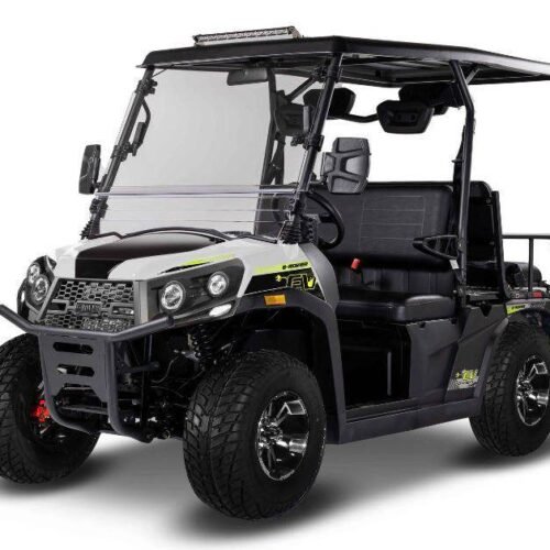 E-Rover Electric Golf Cart, Deluxe Alloy Wheels, Windshield Included