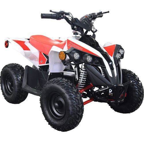 E-Bully Kids Electric ATV, 36v 1000w, Ages 10 and up for sale