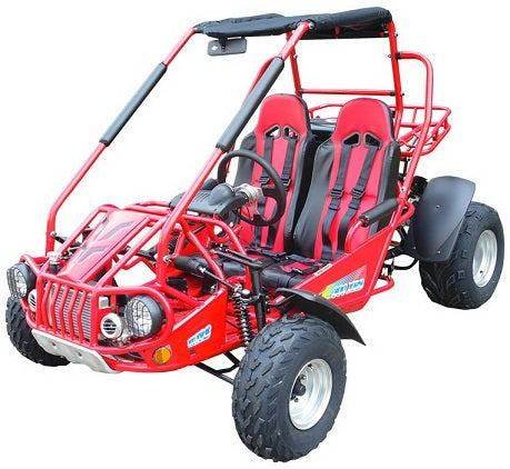 Engine Mount Plate for TrailMaster 300E XRS, 10111-300GK for sale
