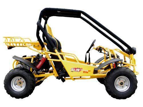 Explorer 150cc Buggy Go Kart, Electric Start, Automatic with Reverse, Ages 16 and up