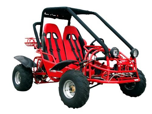 Explorer 150cc Buggy Go Kart, Electric Start, Automatic with Reverse, Ages 16 and up