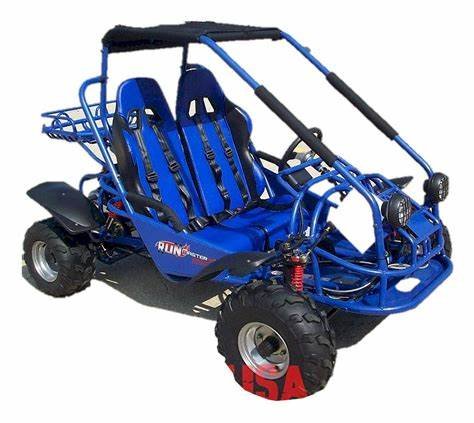 Explorer 150cc Buggy Go Kart, Electric Start, Automatic with Reverse, Ages 16 and up