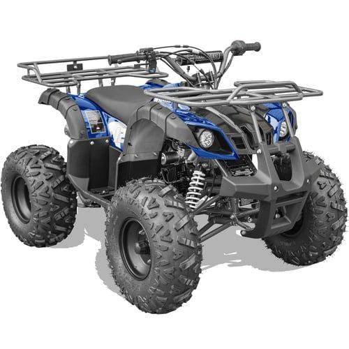 Bull Kids Gas Powered ATV, Electric Start 125cc 4-Stroke, Automatic with Reverse, Ages 12 and up