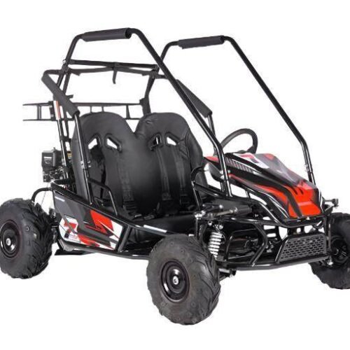 Interceptor XL Mid-size Go Kart, 7hp 4-Stroke Pull Start, Automatic, Full Suspension for sale