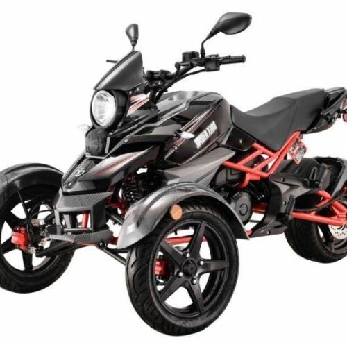 Spider X200 Trike, 3-Wheel Motorcycle, Automatic with Reverse for sale