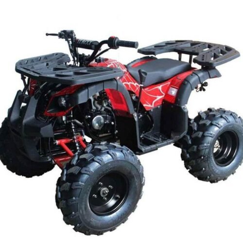 Rider 10 125cc Utility Style ATV, Auto with Reverse, Front Rack, Rear Rack, Deluxe front Bumper, Ages 12 and up for sale