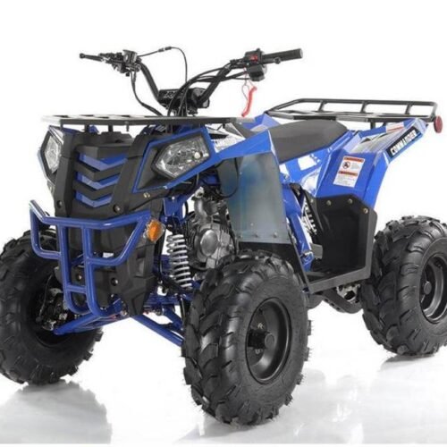 Commander 125cc Utility Style ATV, Fully-Automatic with Reverse, Ages 12 and up for sale