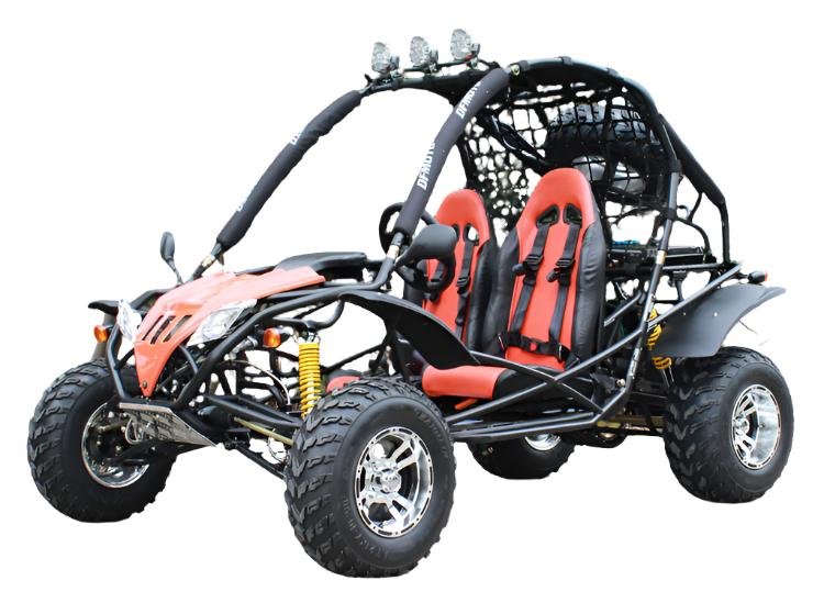 Jaguar 200 DLX Buggy Go Kart, Electric Start, Automatic with Reverse, 10-inch Alloy Wheels, Ages 16 and up