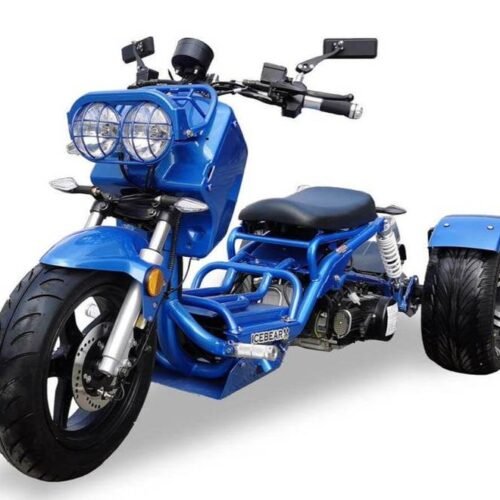 Maddog 150cc Street Trike, Automatic, Disc Brakes, 14 inch Aluminum Rear Wheels