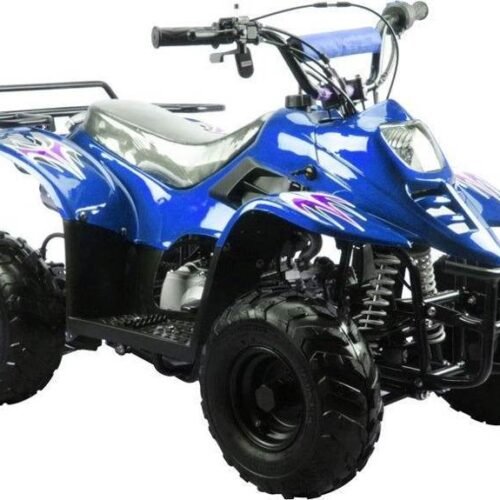TrailMaster Mini Sport ATV 110, Gas Engine with Remote Start/Kill, Speed Governor, 6-inch Wheels, Kids Ages 4-9