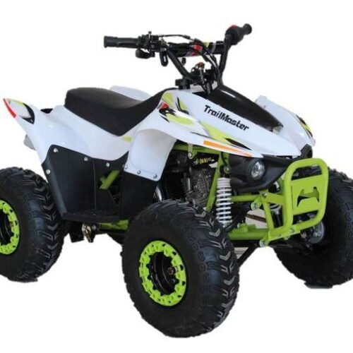 TrailMaster Mini Sport N110 ATV, Automatic with Reverse, 7 inch Wheels, Ages 8 and up