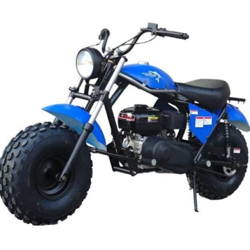 TrailMaster Monster Dog II Mini Bike, 196cc 6.5hp with Torque Converter, Rear Hydraulic Disc Brake