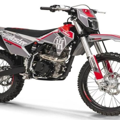 TrailMaster MX250 Dirt Bike, 5-Speed Manual, Electric Start, Dual Disc Brakes, (21/18) Wheels for sale