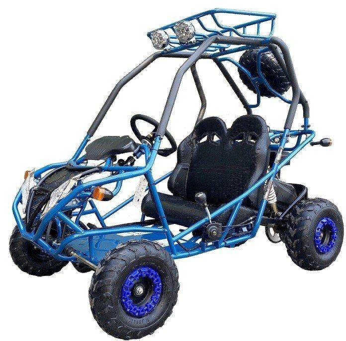 PGO 200GVA Kids Gas Go Kart, 6.5hp 196cc engine with Electric Start, Automatic Torque Converter with Reverse, Kids Ages 7-12