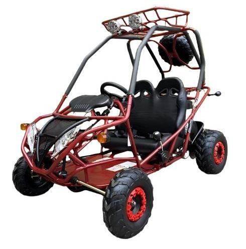 PGO 200GVA Kids Gas Go Kart, 6.5hp 196cc engine with Electric Start, Automatic Torque Converter with Reverse, Kids Ages 7-12