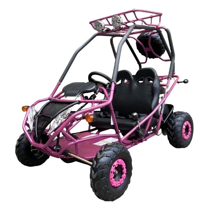 PGO 200GVA Kids Gas Go Kart, 6.5hp 196cc engine with Electric Start, Automatic Torque Converter with Reverse, Kids Ages 7-12