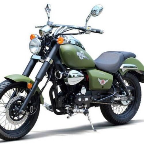 Raider 250 Street Motorcycle, 5-Speed Manual for sale
