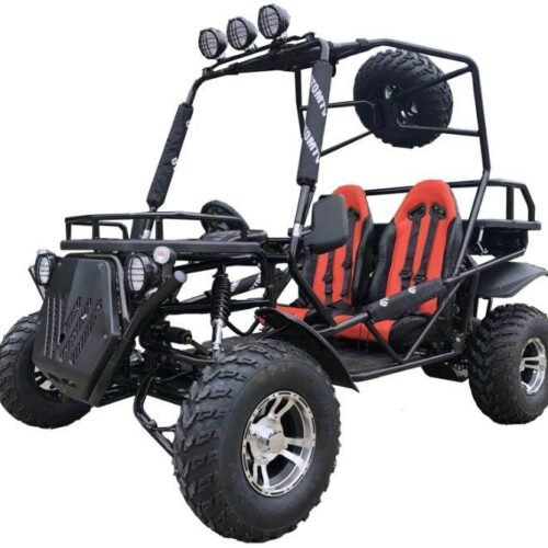 Rancher 200DLX Buggy Go Kart, Electric Start, Automatic with Reverse, 10-inch Deluxe Alloy Wheels, Ages 16 and up for sale