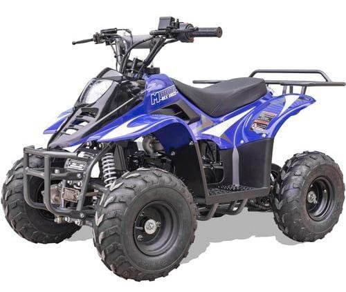 Rex Kids Gas ATV, 110cc 4-Stroke, Ages 4-9 for sale