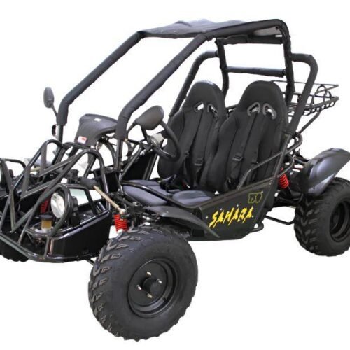 Sahara 150cc Buggy Go Kart, Electric Start, Automatic with Reverse, Ages 16 and up for sale
