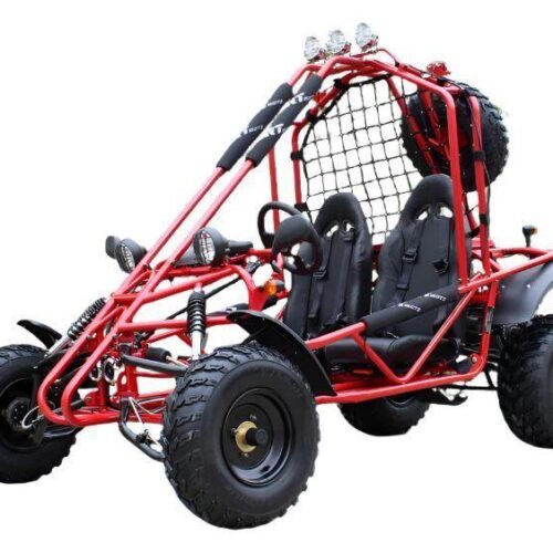 Spider 200 Buggy Go Kart, Electric Start, Automatic with Reverse, 10-inch Steel Wheels, Ages 16 and up for sale
