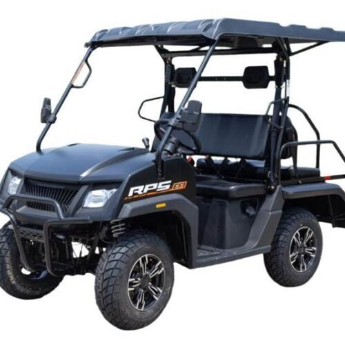 SSV 200 EFI Gas Golf Cart, Automatic with Reverse, Deluxe Alloy Wheels, Fully Assembled