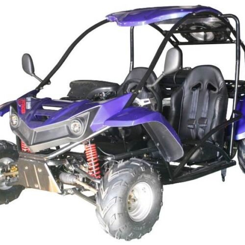 T-REX 125cc Kids Gas Powered Go Kart, Electric Start, Automatic with Reverse, Ages 8 and up for sale