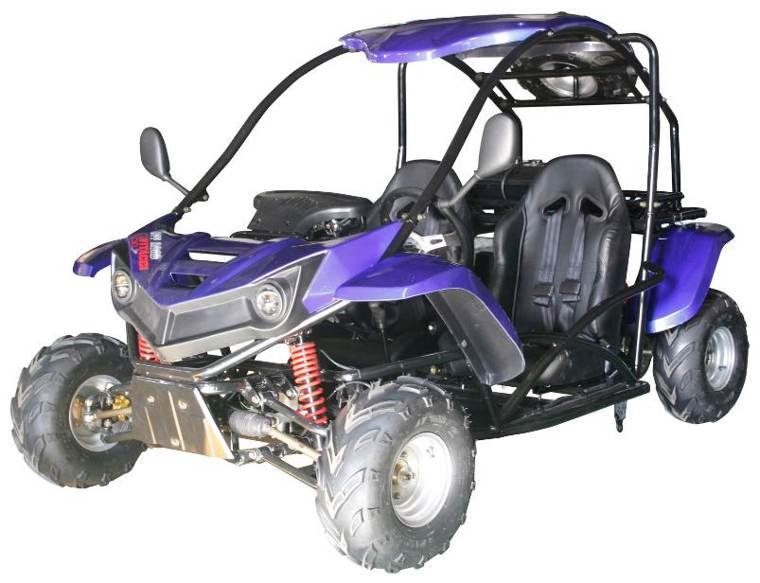 T-REX 125cc Kids Gas Powered Go Kart, Electric Start, Automatic with Reverse, Ages 8 and up