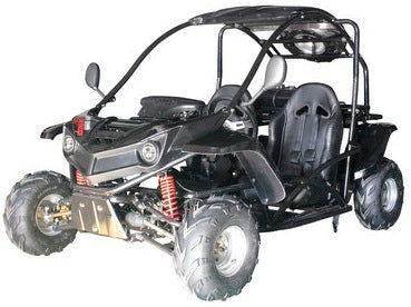 T-REX 125cc Kids Gas Powered Go Kart, Electric Start, Automatic with Reverse, Ages 8 and up