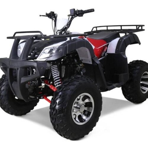 Tao Bull 200cc Utility ATV, Electric Start, Automatic with Reverse, 10-inch Wheels for sale