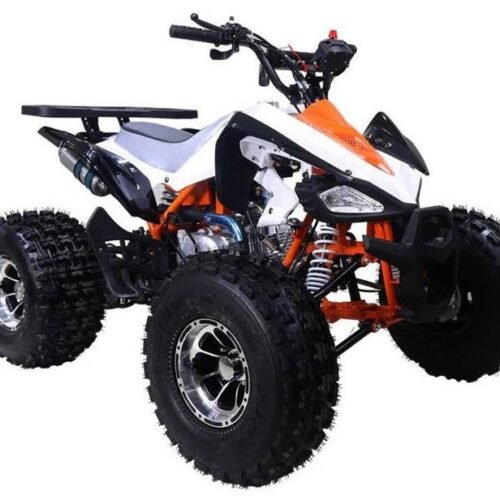 Tao Cheetah Deluxe 125cc Sport ATV, Electric Start, Automatic with Reverse, Ages 12 and up for sale