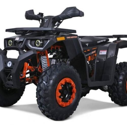 Tao G200 200cc Utility Style ATV, Electric Start, Automatic with Reverse, 10-inch Wheels for sale