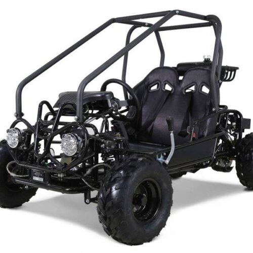 Tao GK110 Kids Gas Go Kart, Electric Start, Automatic with Reverse, Remote Kill Switch, Ages 6 and up for sale