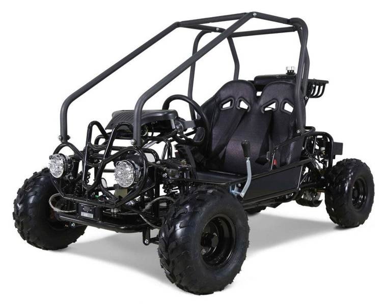 Tao GK110 Kids Gas Go Kart, Electric Start, Automatic with Reverse, Remote Kill Switch, Ages 6 and up