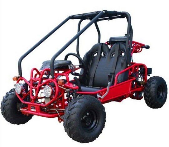 Tao GK110 Kids Gas Go Kart, Electric Start, Automatic with Reverse, Remote Kill Switch, Ages 6 and up