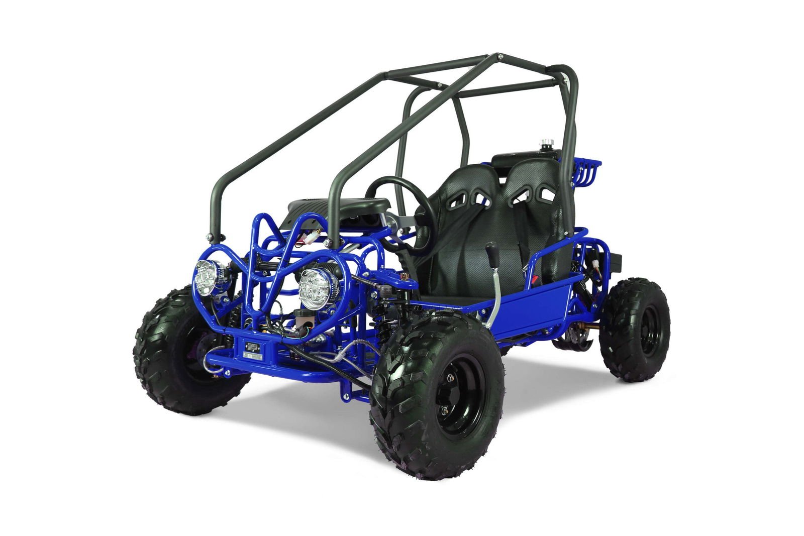 Tao GK110 Kids Gas Go Kart, Electric Start, Automatic with Reverse, Remote Kill Switch, Ages 6 and up - Blue