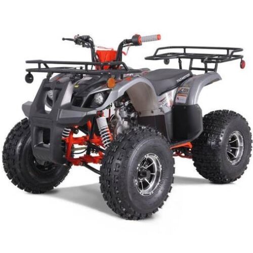 Tao T-Force Platinum 125cc Utility Style ATV, Electric Start, Automatic with Reverse, Ages 12 and up for sale