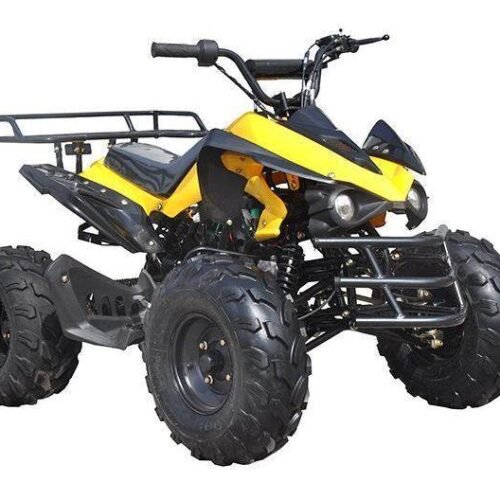 Tonga 125cc Kids Sport ATV, 8-inch Wheels, Automatic with Reverse, Ages 8 and up for sale