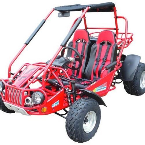 TrailMaster 300E XRS (EFI) Dune Buggy Go Kart, Liquid Cooled, Chain Drive for sale