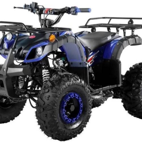 TrailMaster B125 125cc Utility ATV, Automatic with Reverse, 8-inch Wheels, Ages 12+