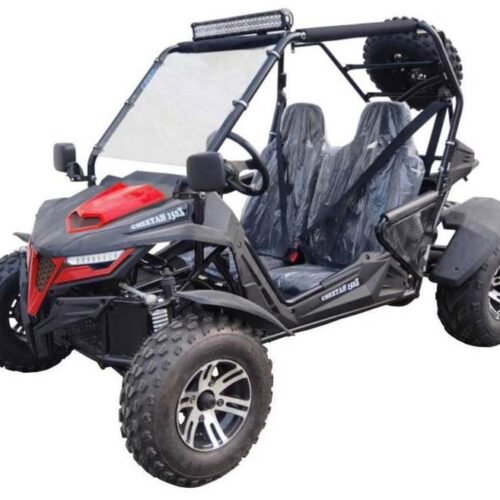 TrailMaster Cheetah 200X Go Kart (Special) CVT Automatic with Reverse, Alloy Wheels, Windshield for sale