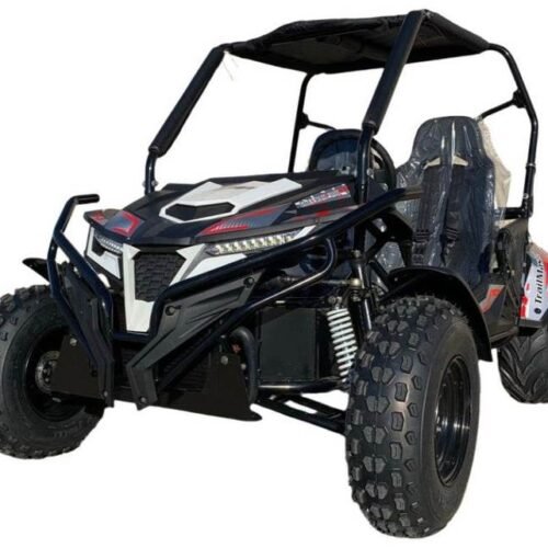 TrailMaster Cheetah 300E EFI UTV Go Kart, Liquid Cooled CVT Auto with Reverse for sale