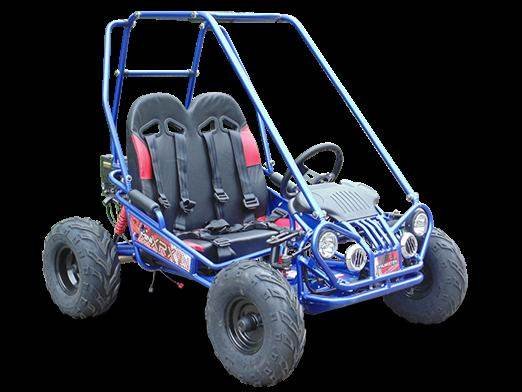 TrailMaster MINI XRX/R+ Go Kart, 5.5hp Parental Remote Control with Reverse, Kids Ages 4-9